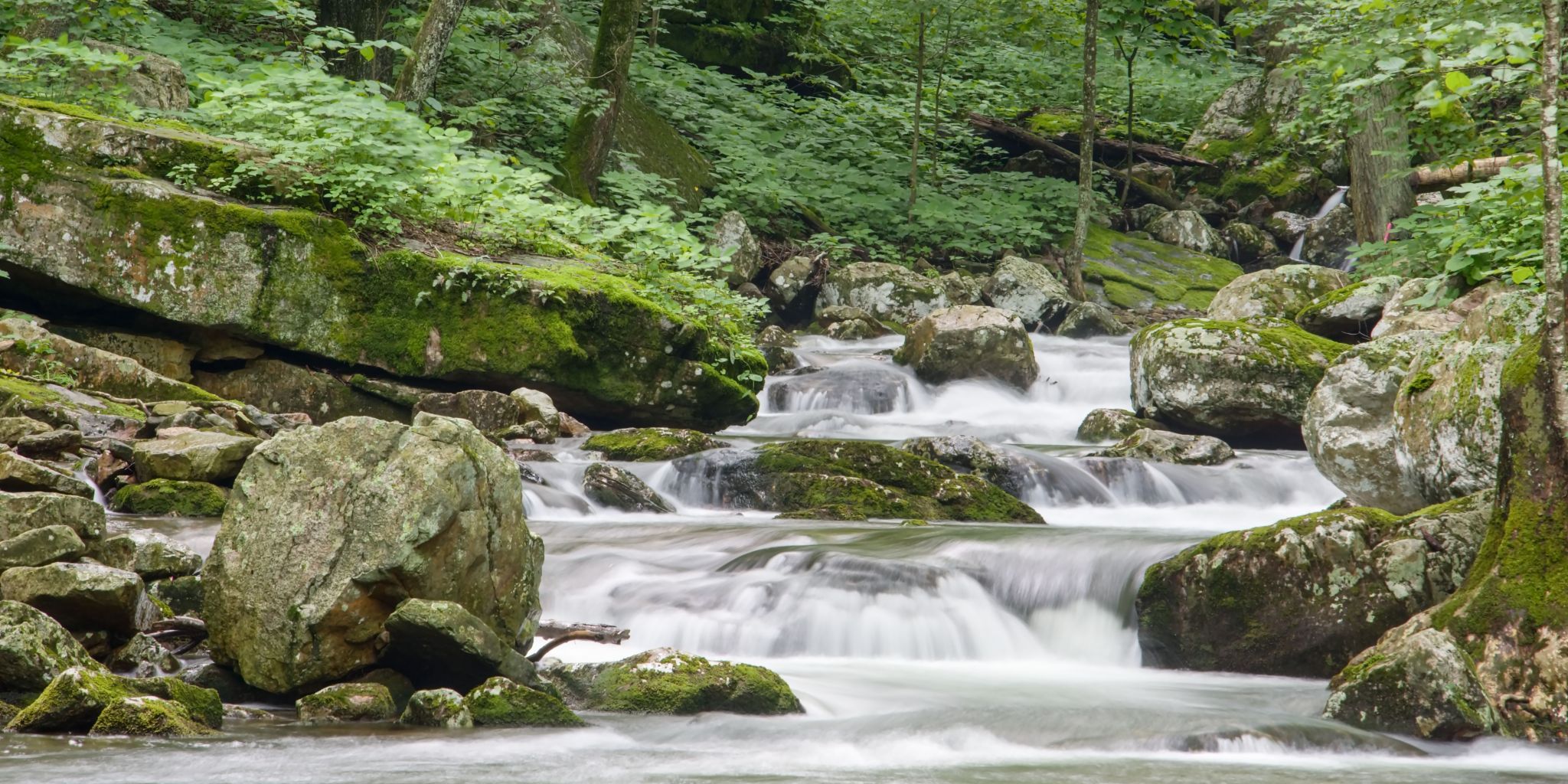 Mills Creek Trail Falls, USA