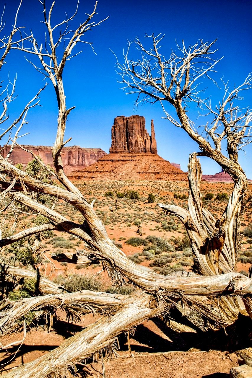 Mitten Buttes, USA