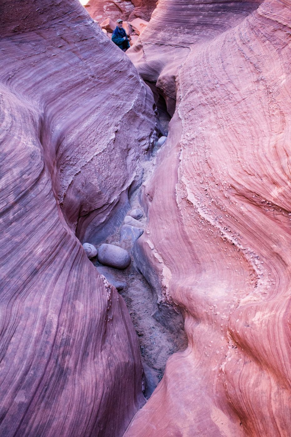 Mountain Sheep Canyon, USA
