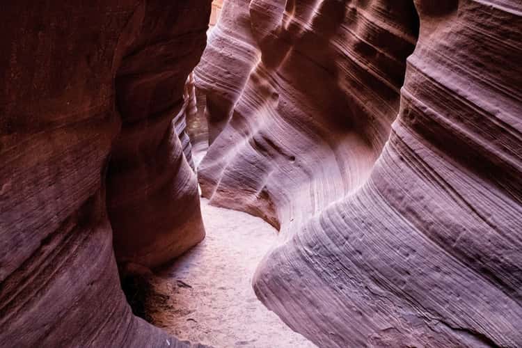 Mountain Sheep Canyon