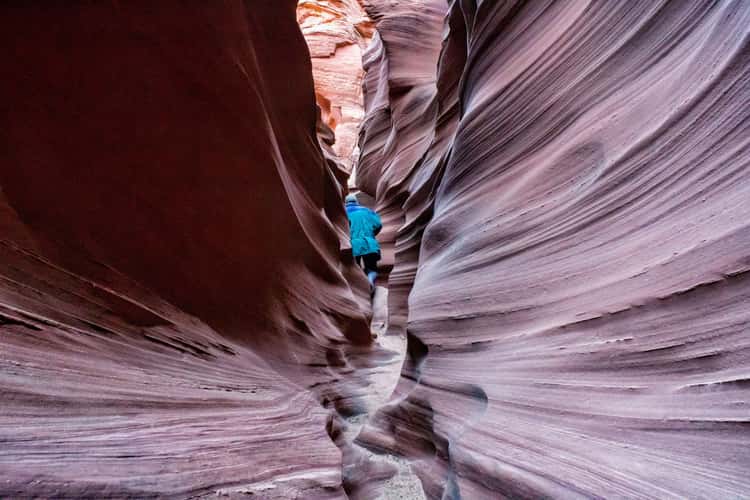 Mountain Sheep Canyon