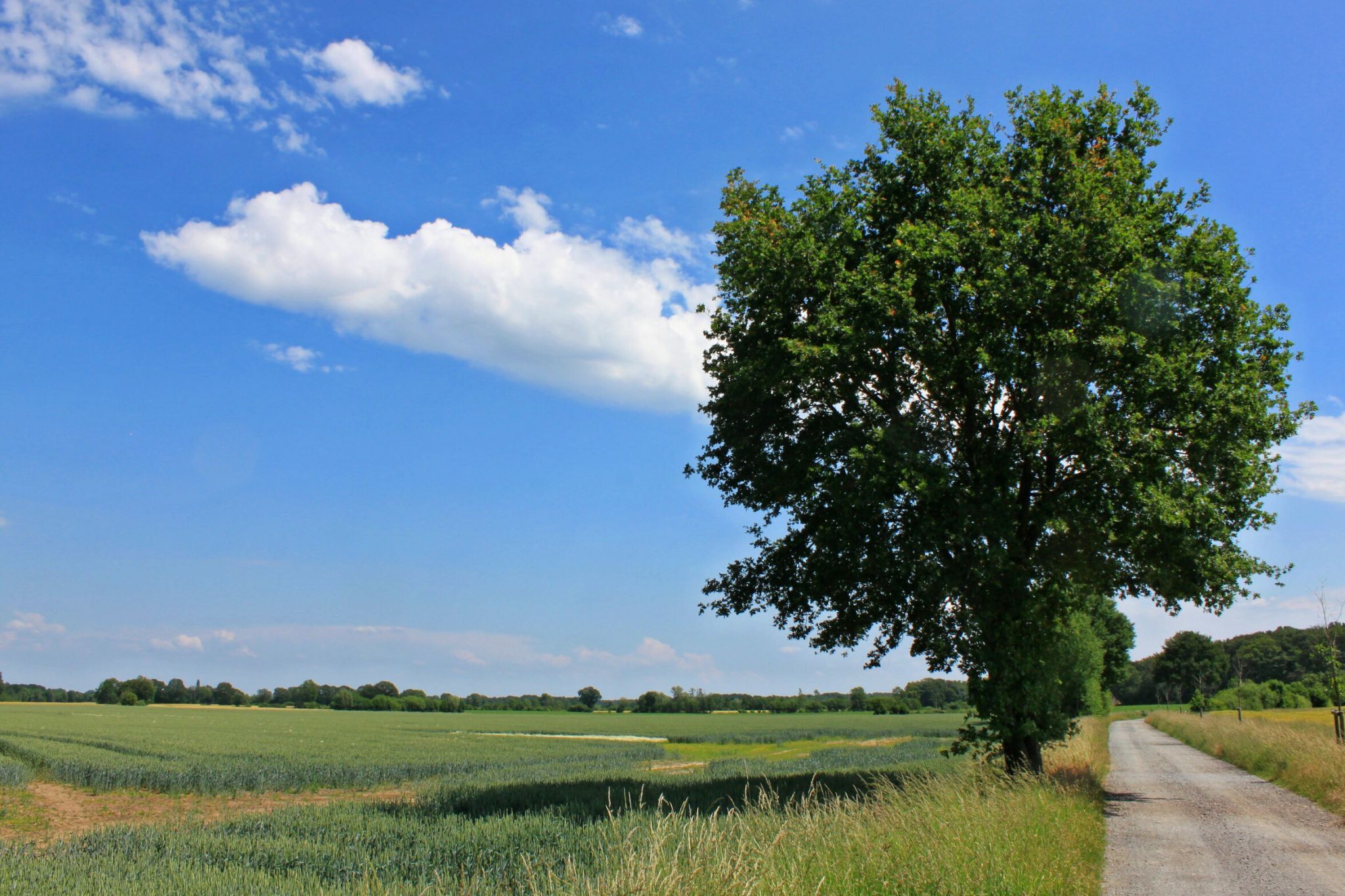 Münsterländer Parklandschaft bei Havixbeck, Germany