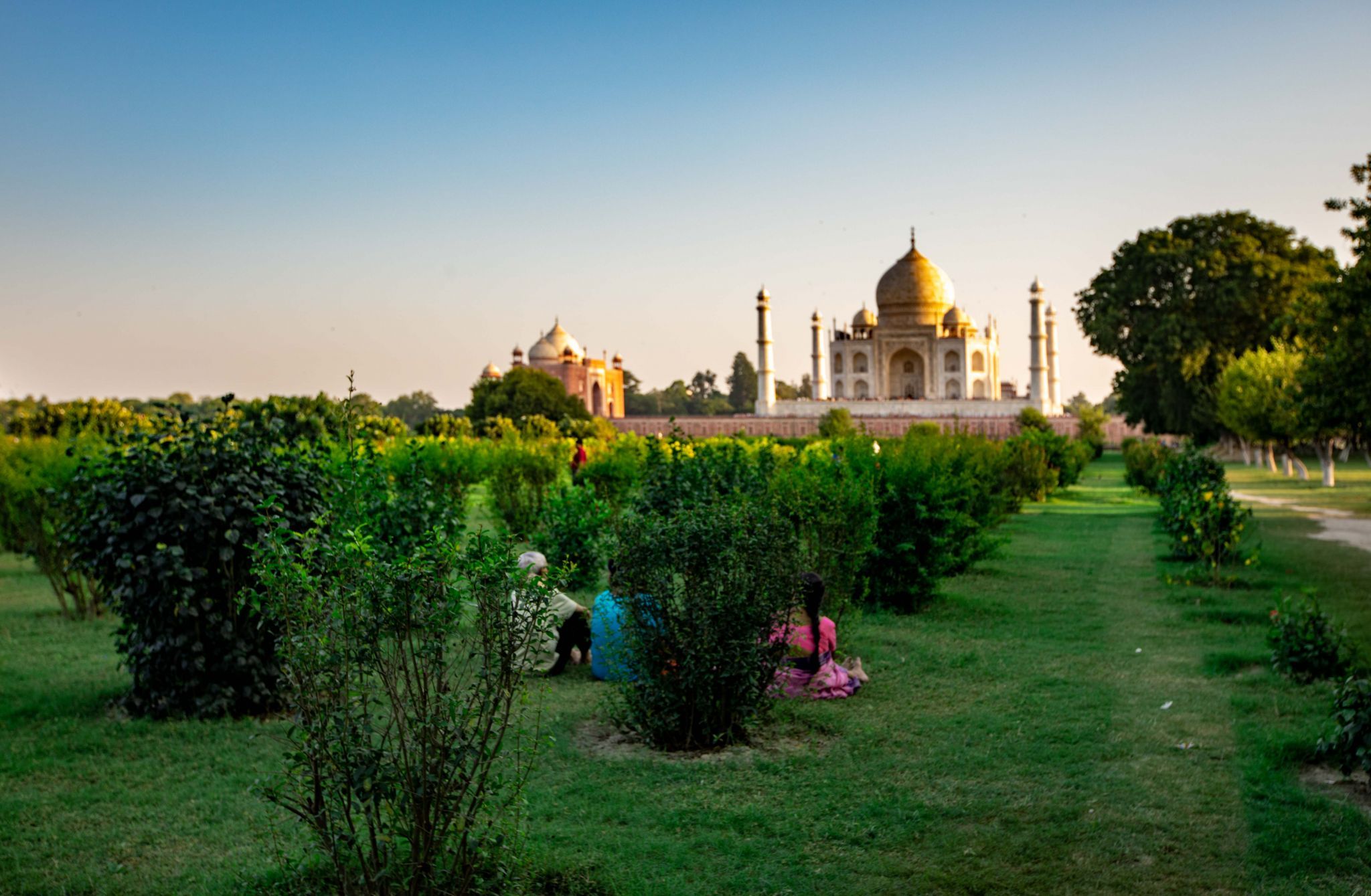 Mughal-era gardens, Taj Mahal sunset, Agra, India