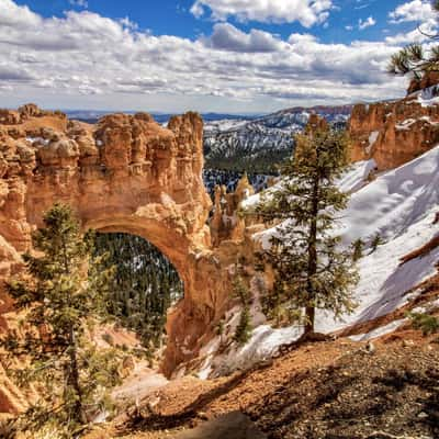 Natural Bridge, USA