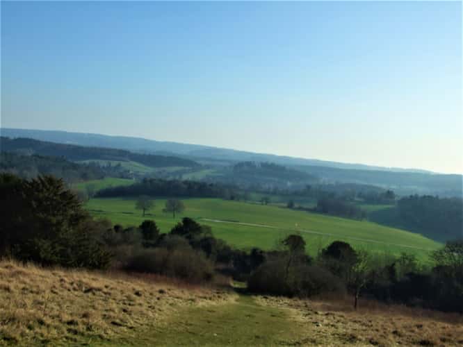 Newlands Corner