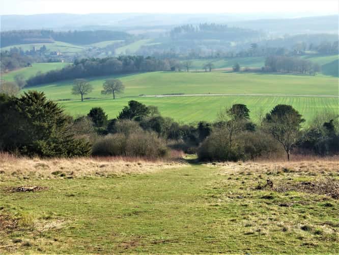 Newlands Corner
