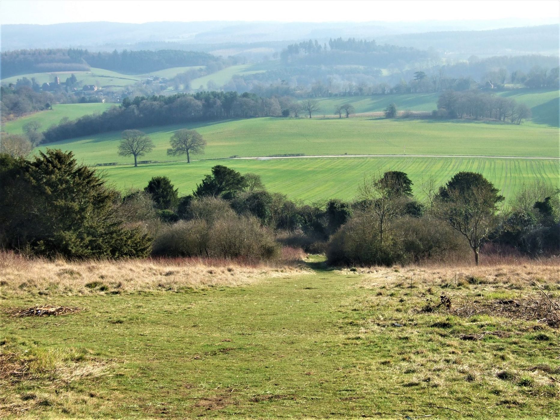Newlands Corner, United Kingdom