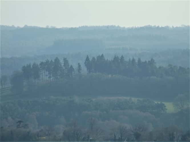 Newlands Corner