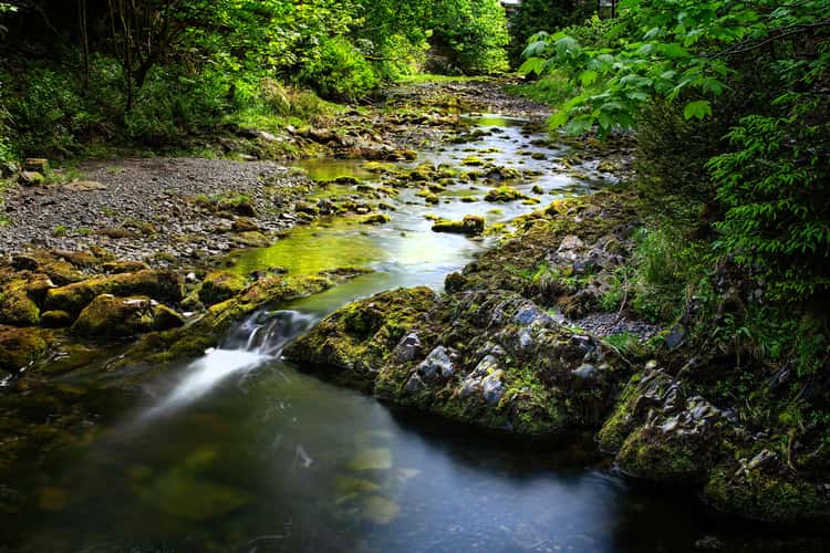 Oker river near Romkerhalle