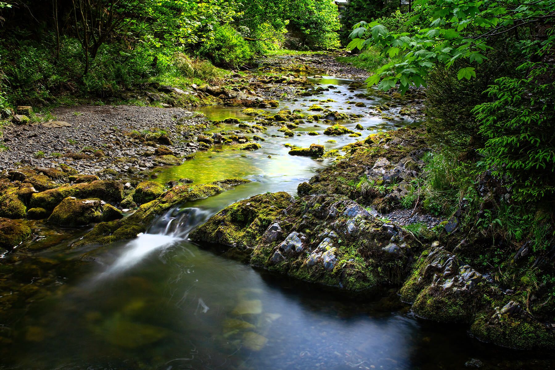 Oker river near Romkerhalle, Germany