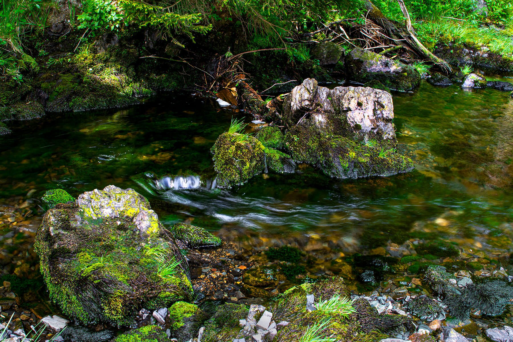 Oker river near Romkerhalle, Germany