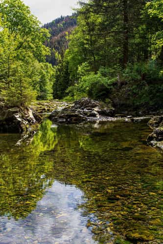 Oker river near Romkerhalle