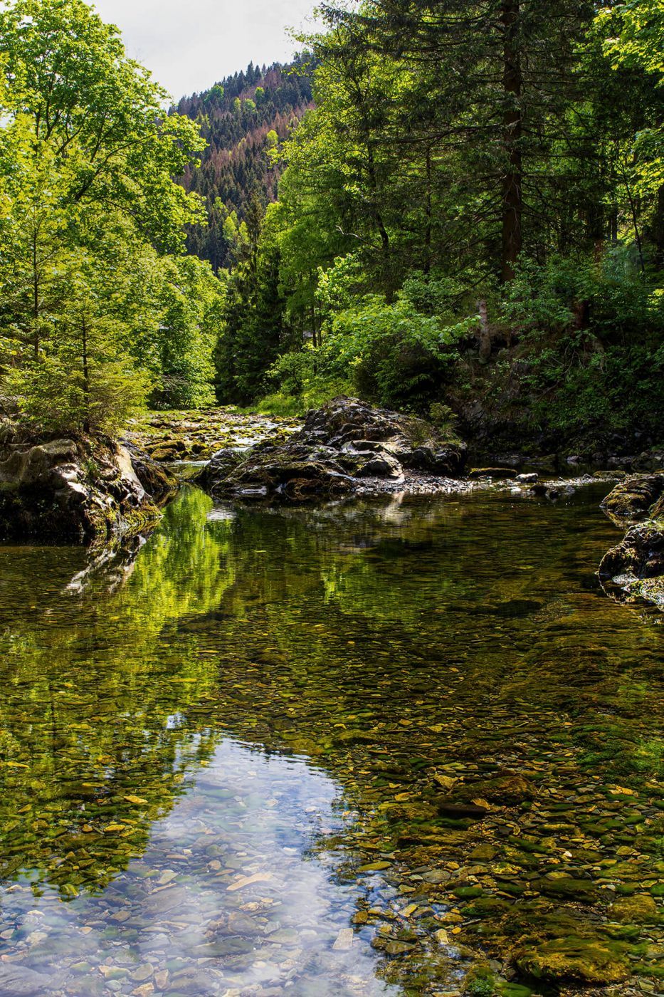 Oker river near Romkerhalle, Germany