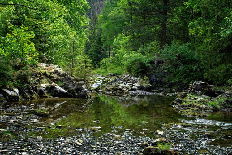Oker river near Romkerhalle