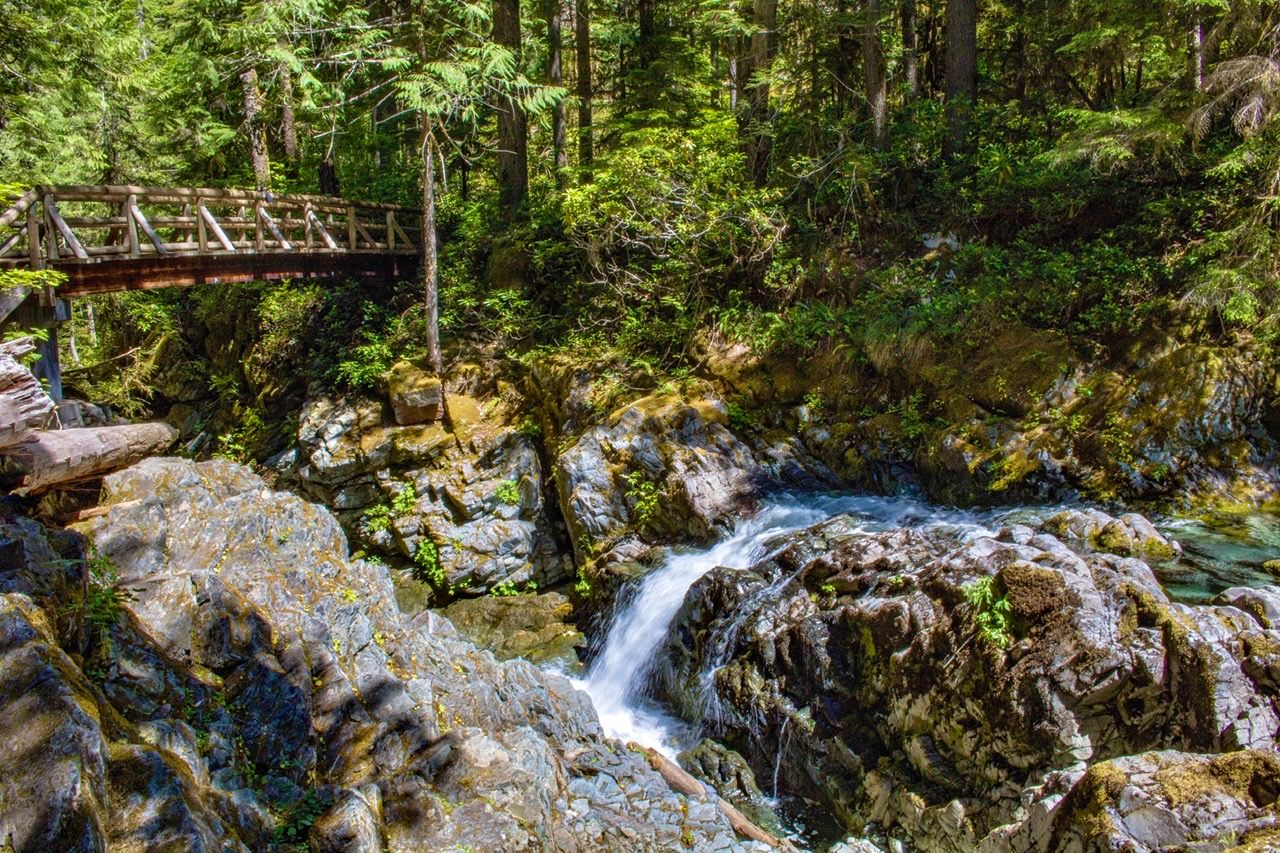 Opal Creek Trail USA