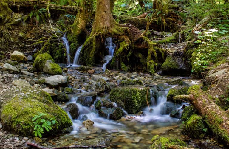 Opal Creek Trail