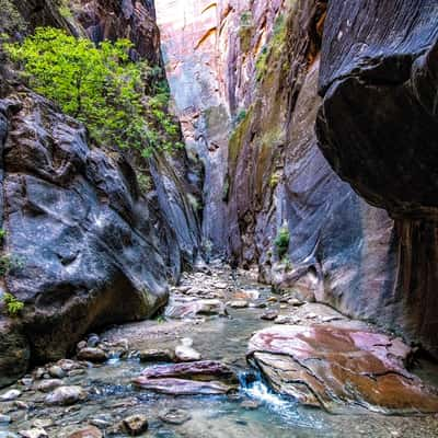 Orderville Canyon, USA