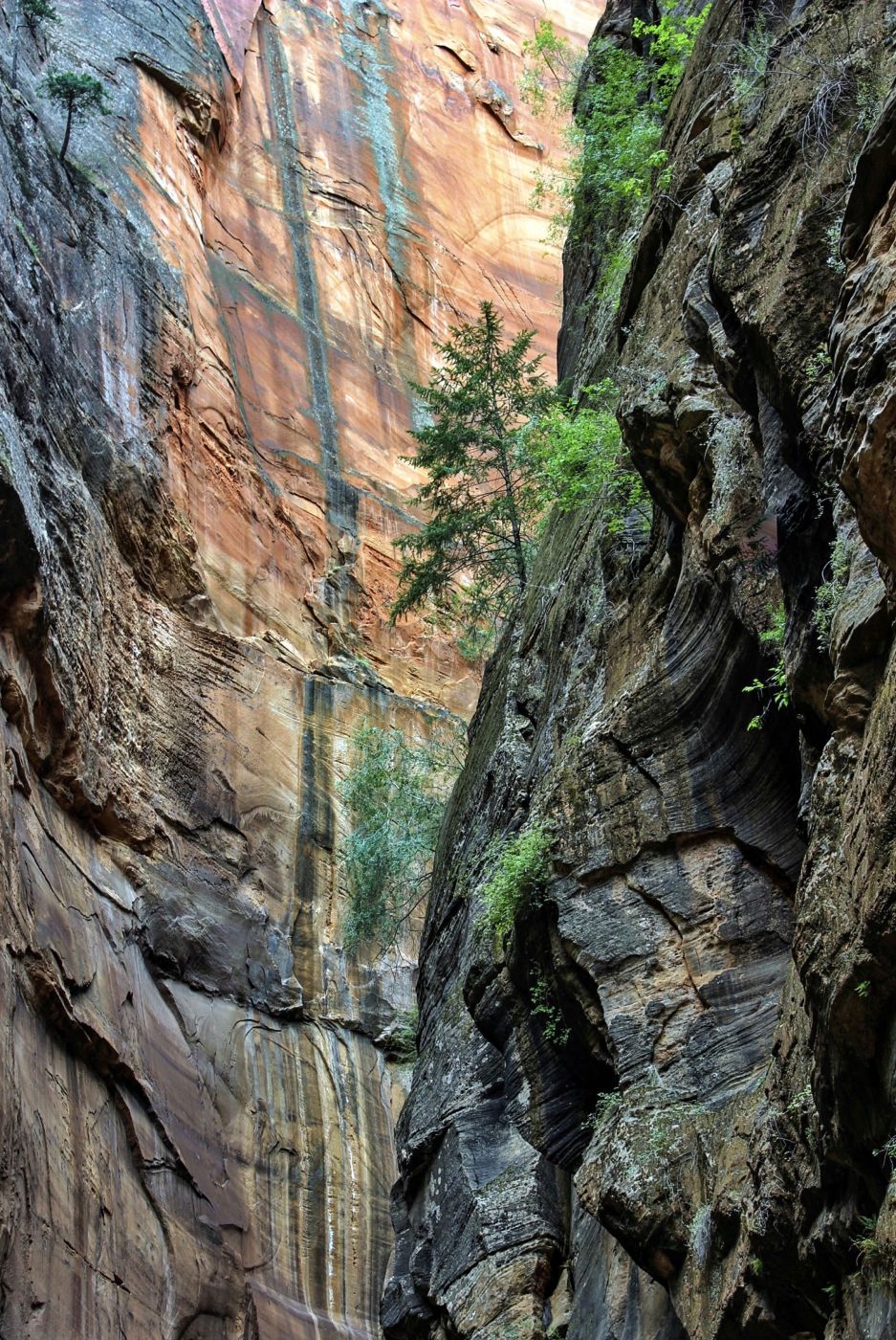 Orderville Canyon, USA
