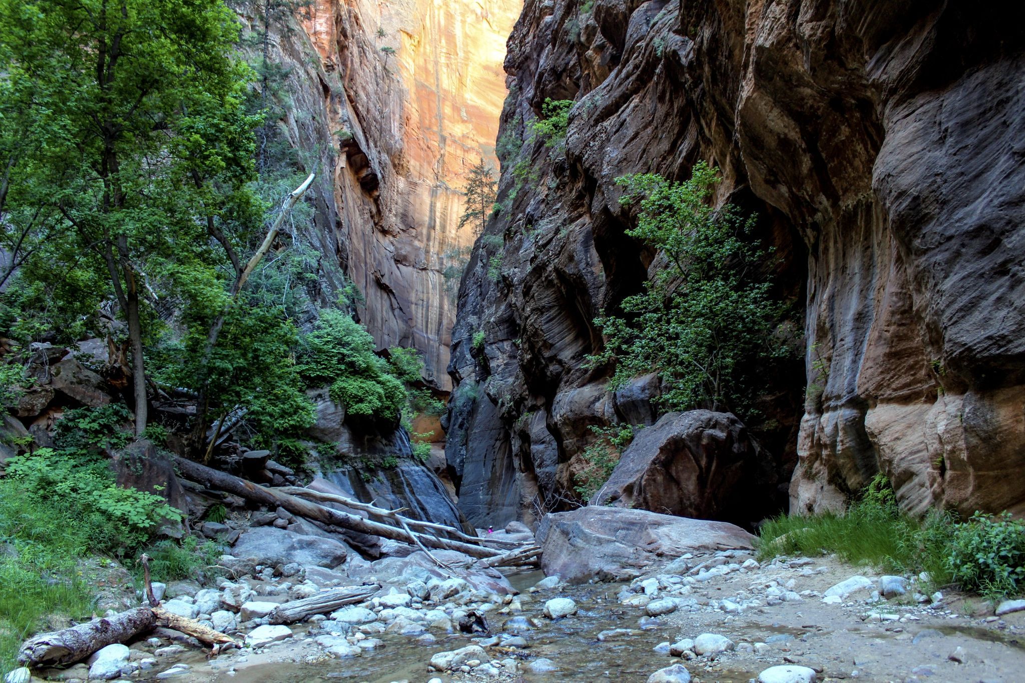 Orderville Canyon, USA