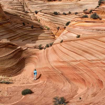 Paw Holes, USA