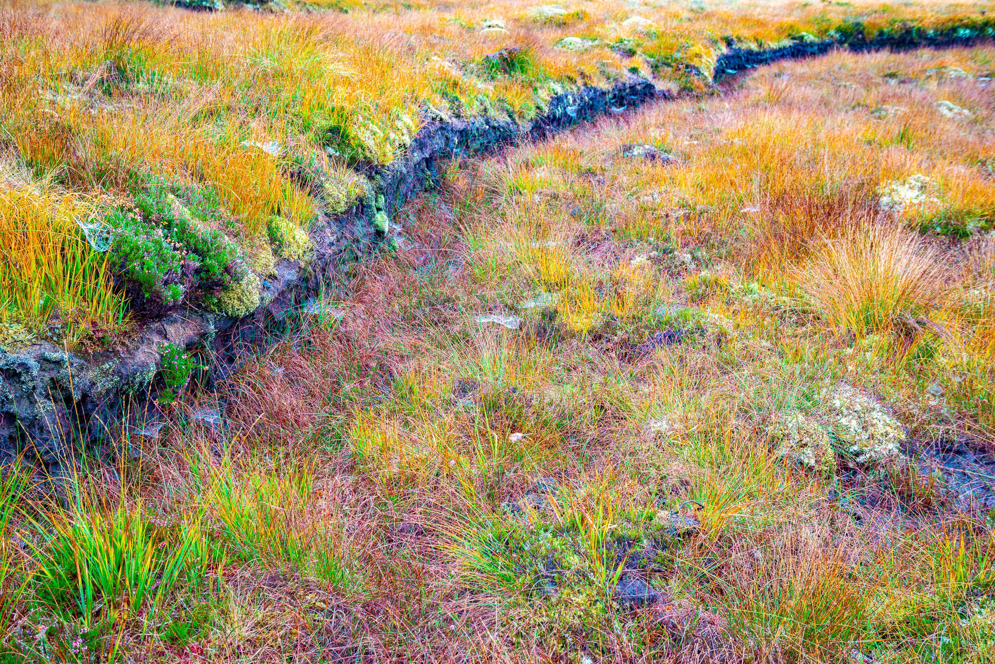 Pentland Road, United Kingdom