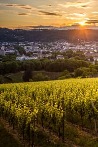 Petrisberg viewpoint, Trier