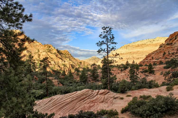 Petroglyph Canyon Parking