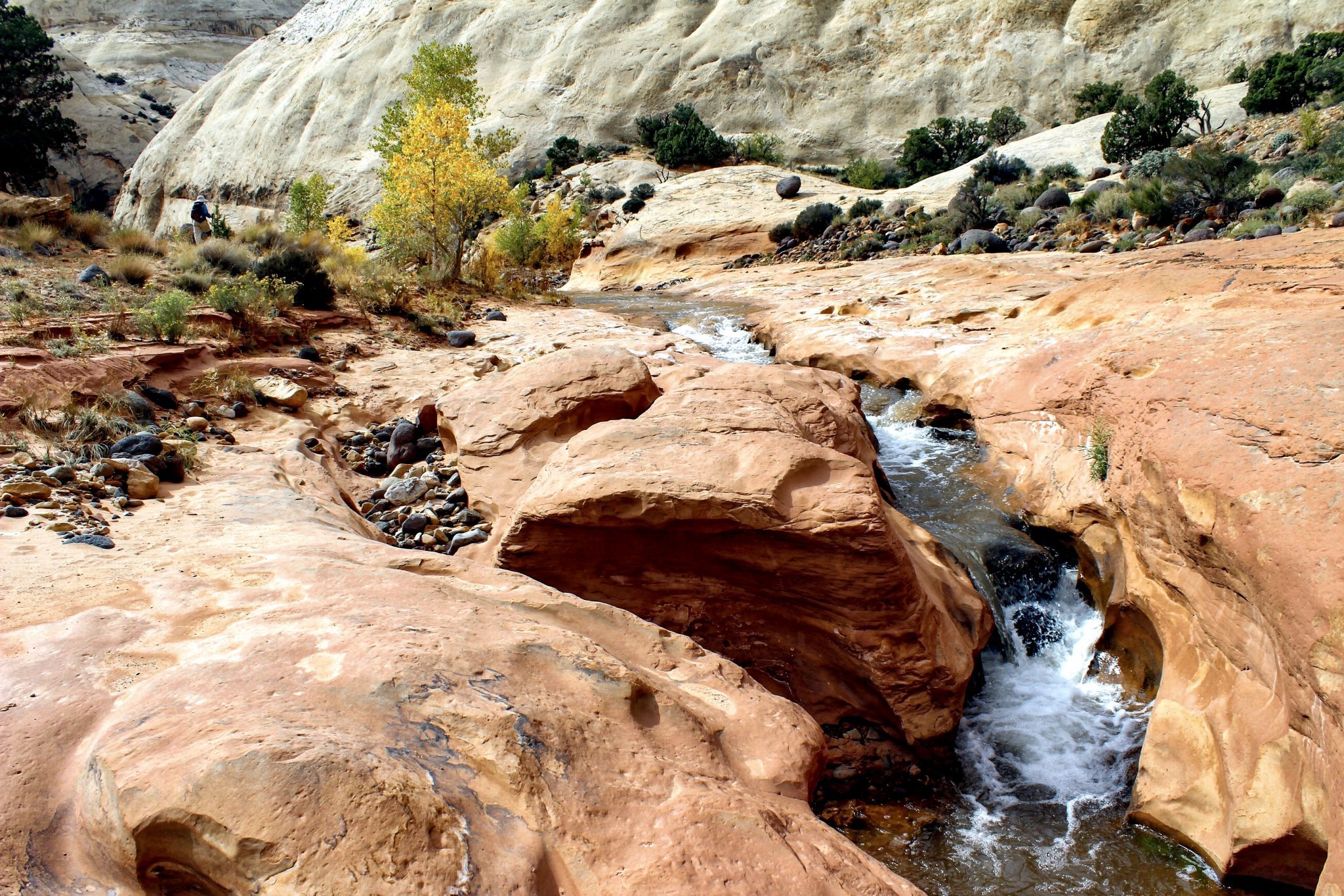 Pleasant Creek, USA