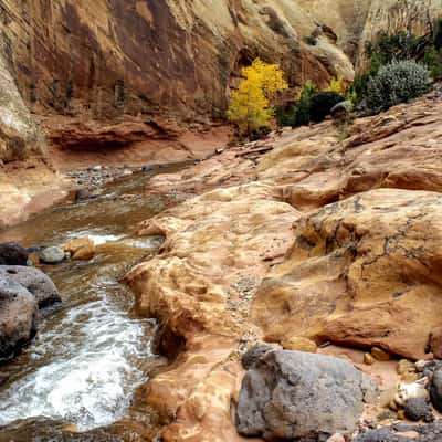 Pleasant Creek, USA