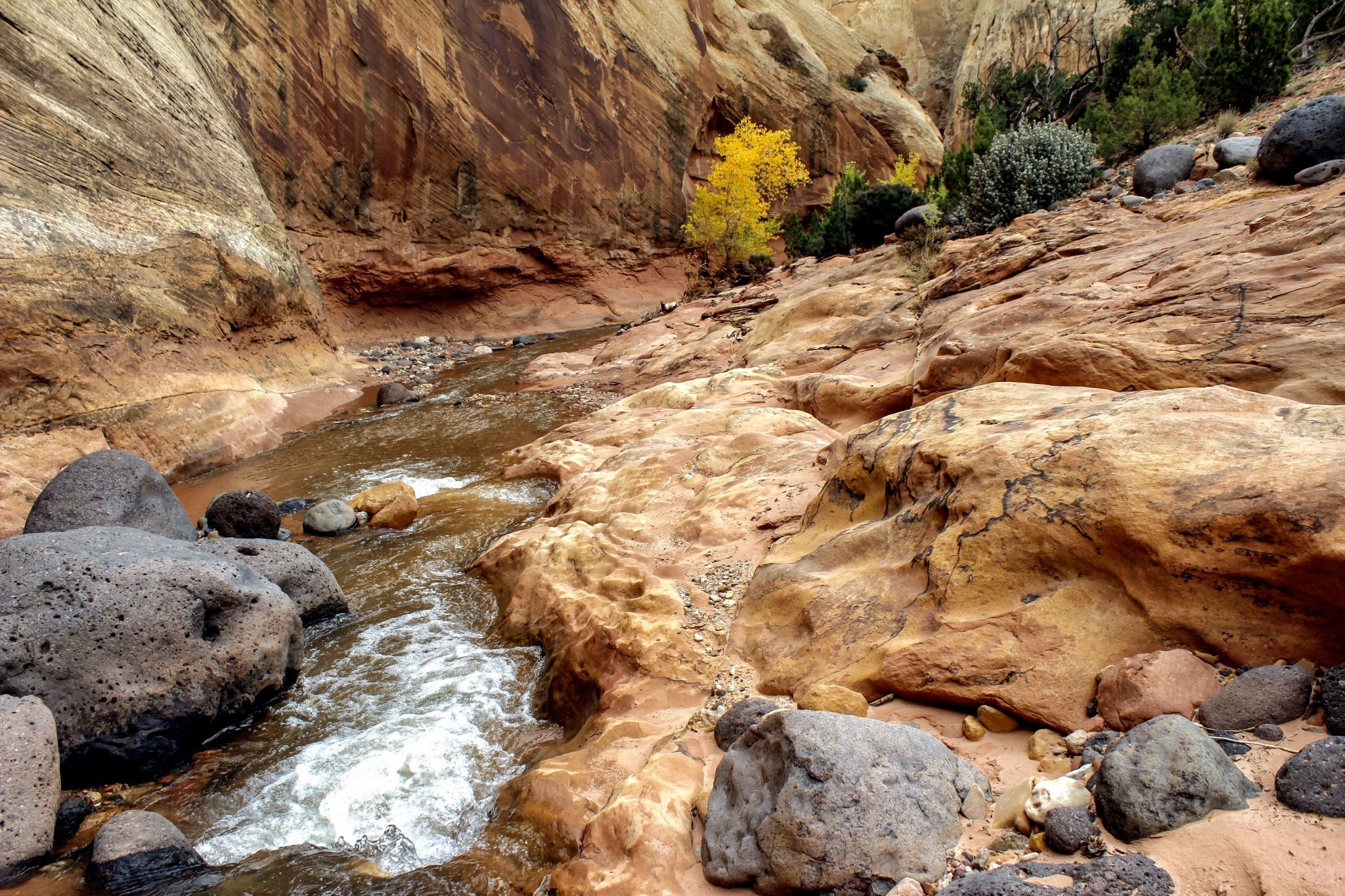 Pleasant Creek, USA