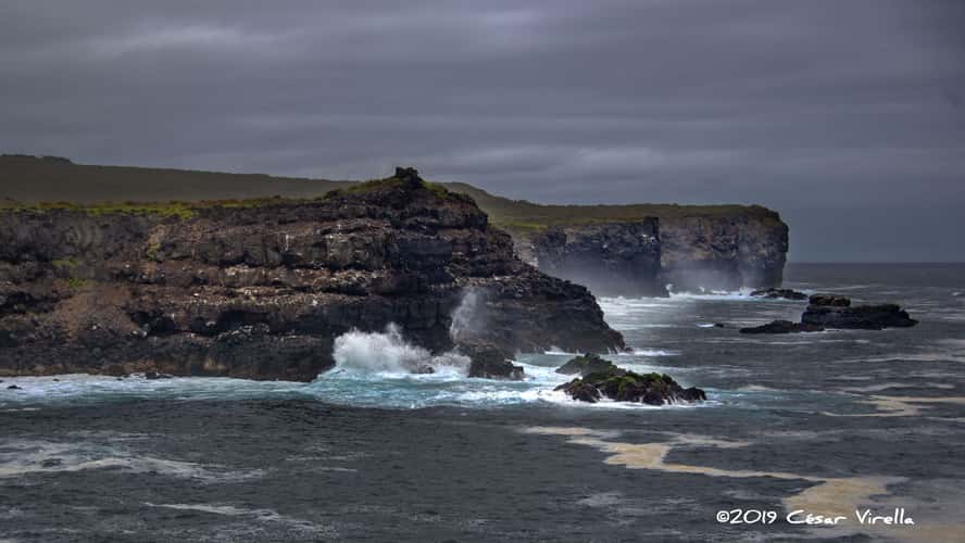 Punta Suarez Isla Española, Galapagos