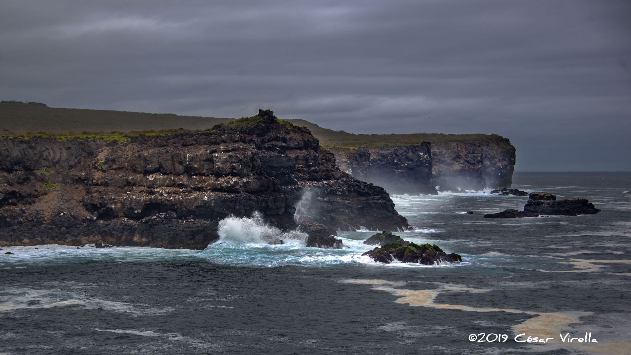 Punta Suarez Isla Española, Galapagos, Ecuador