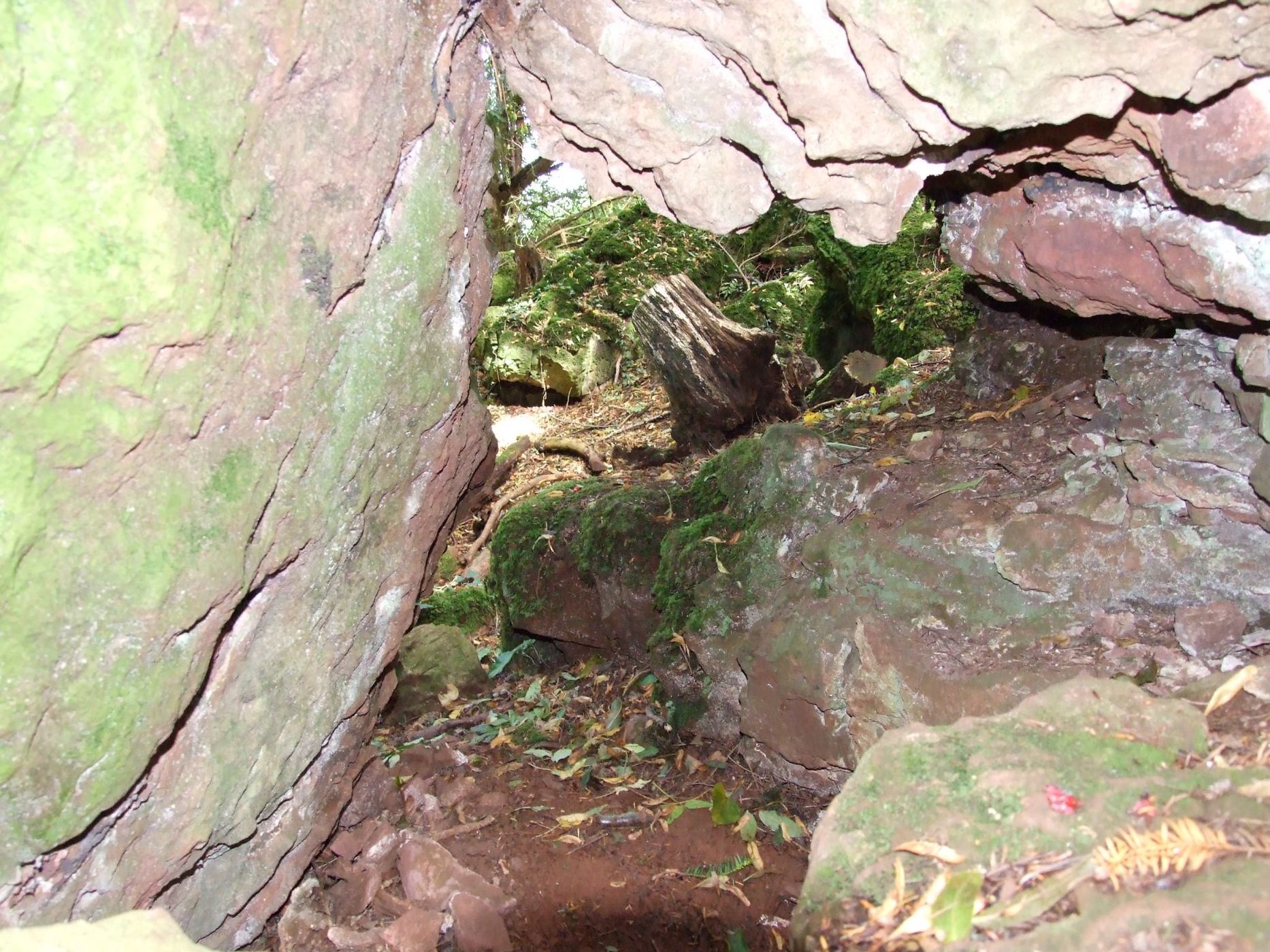 Puzzlewood, United Kingdom