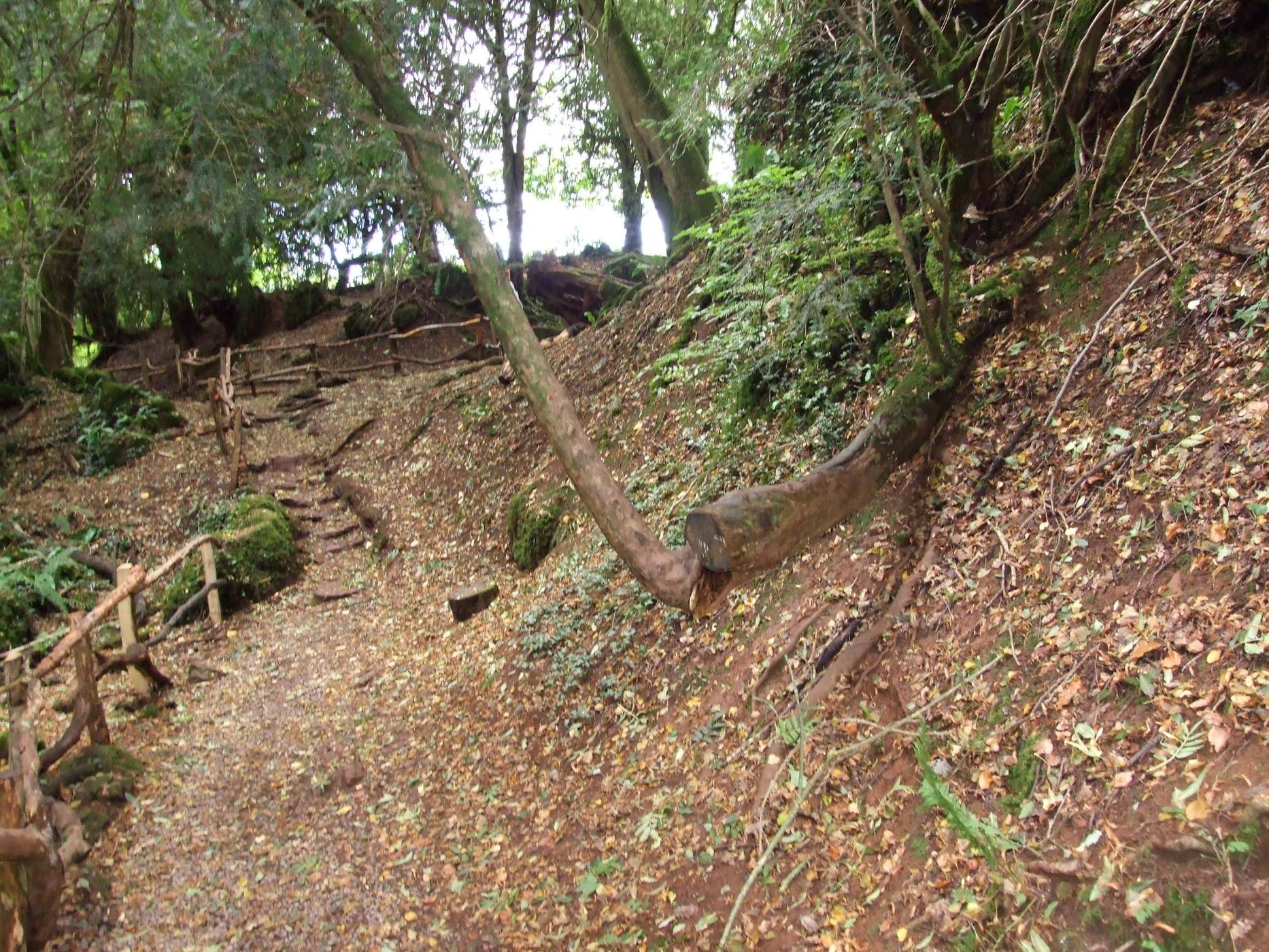 Puzzlewood, United Kingdom