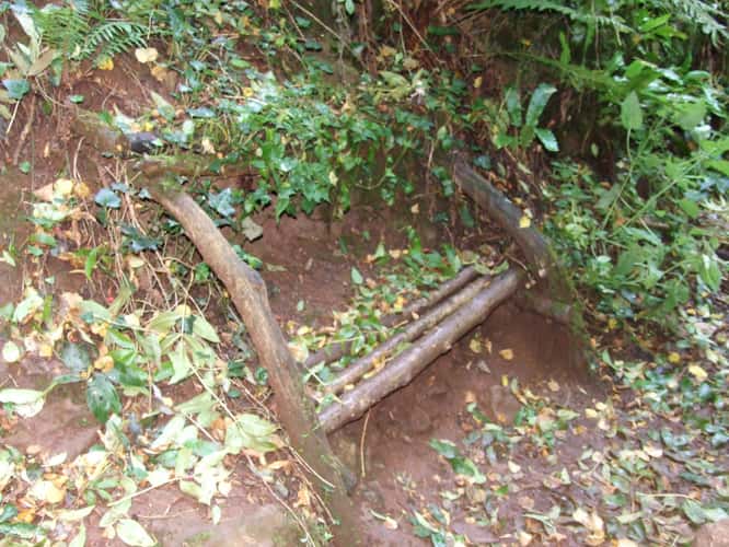 Puzzlewood