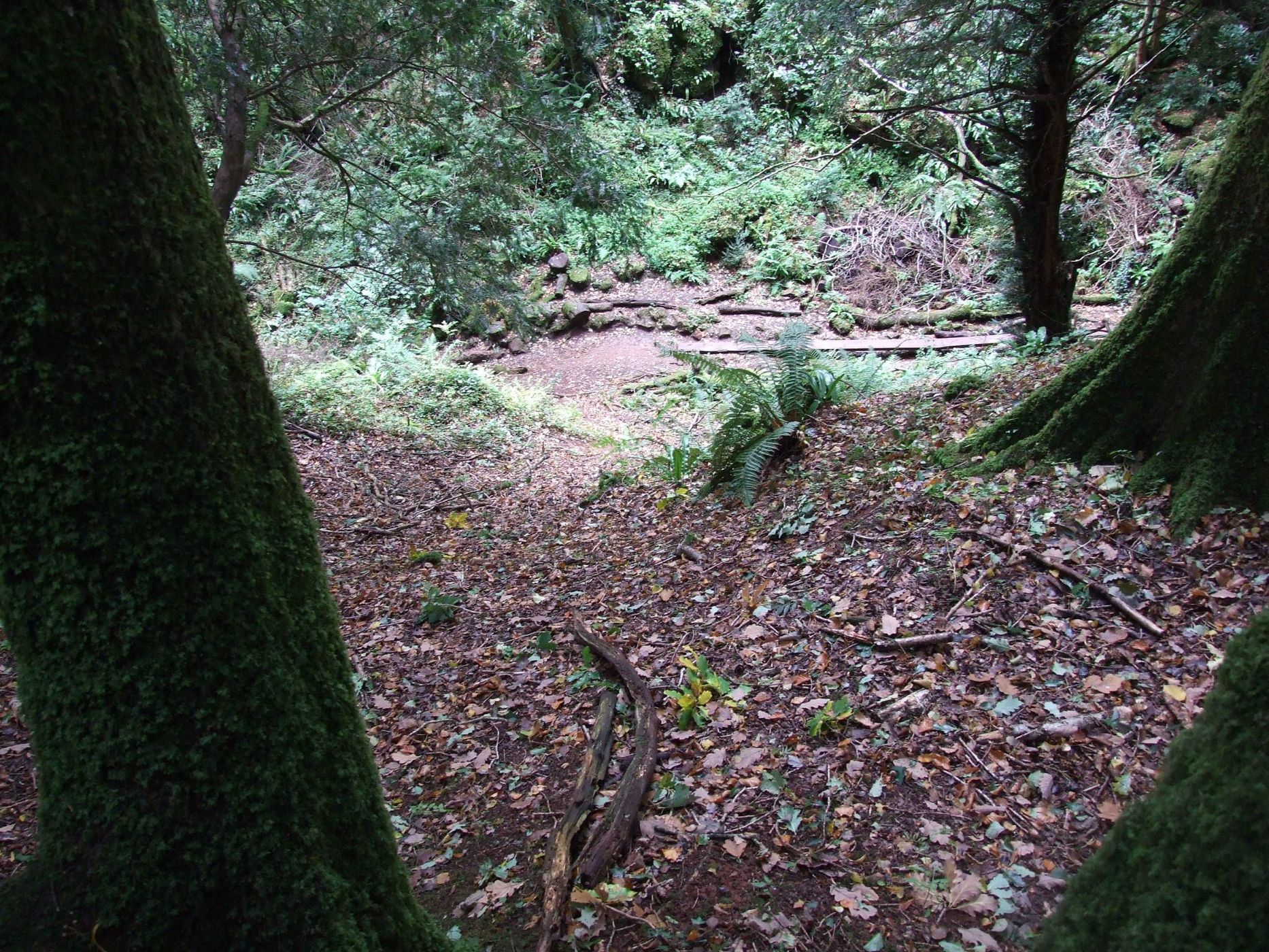 Puzzlewood, United Kingdom