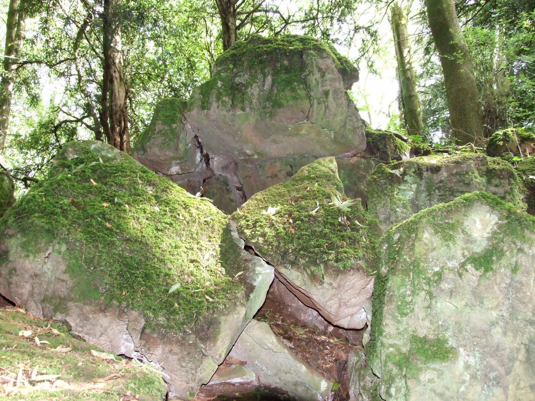Puzzlewood, United Kingdom