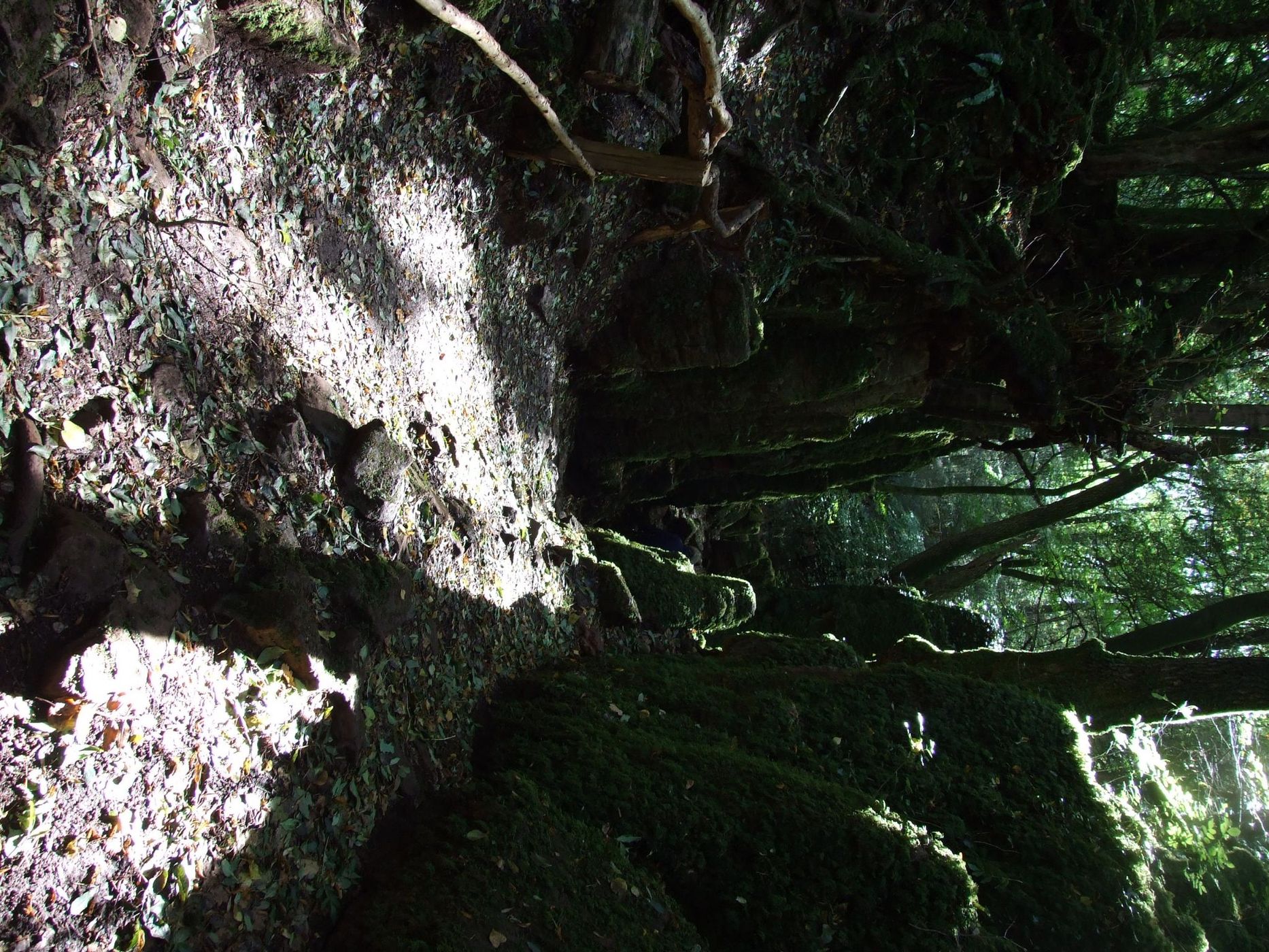 Puzzlewood, United Kingdom