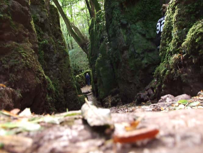 Puzzlewood