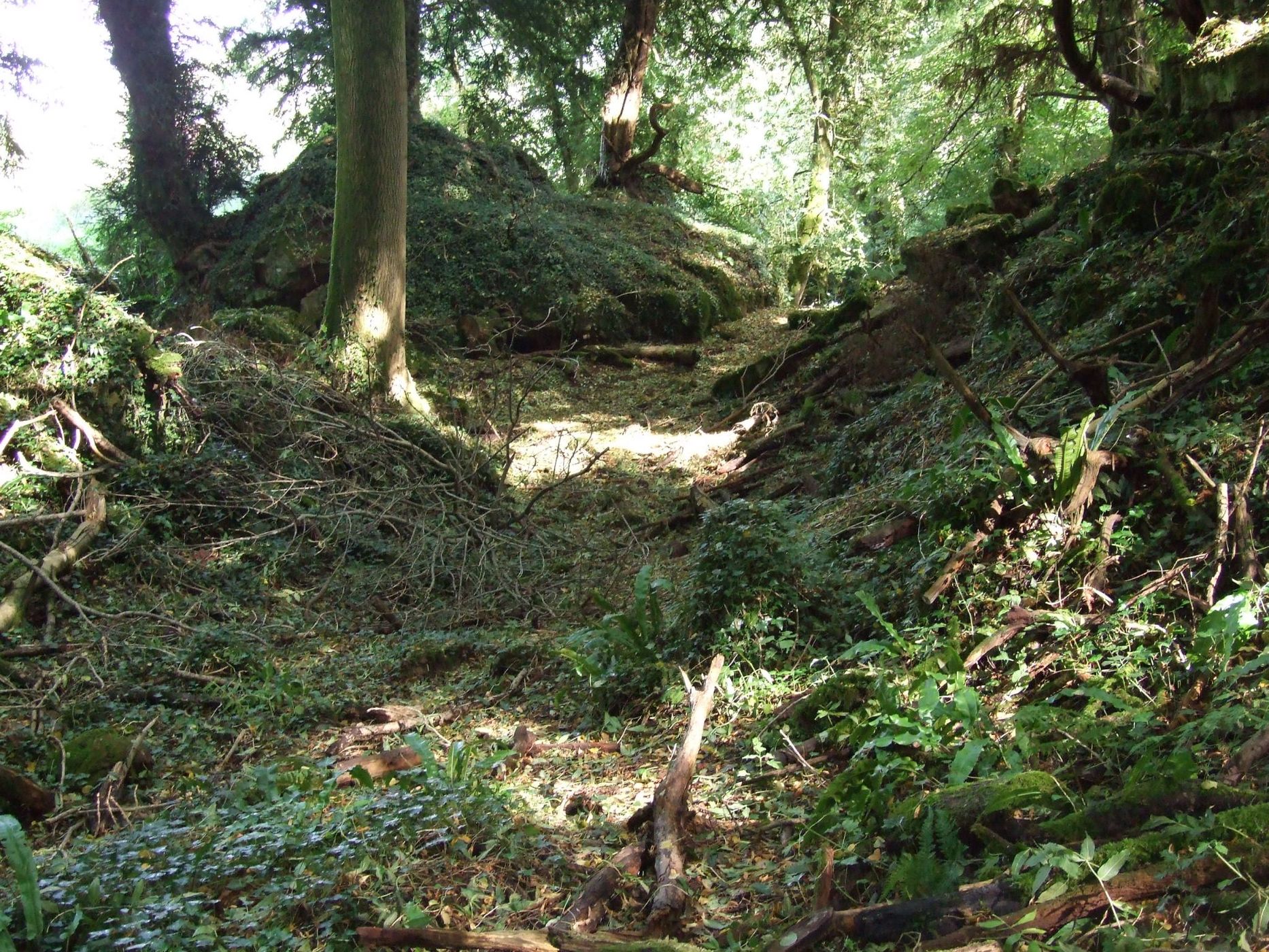 Puzzlewood, United Kingdom