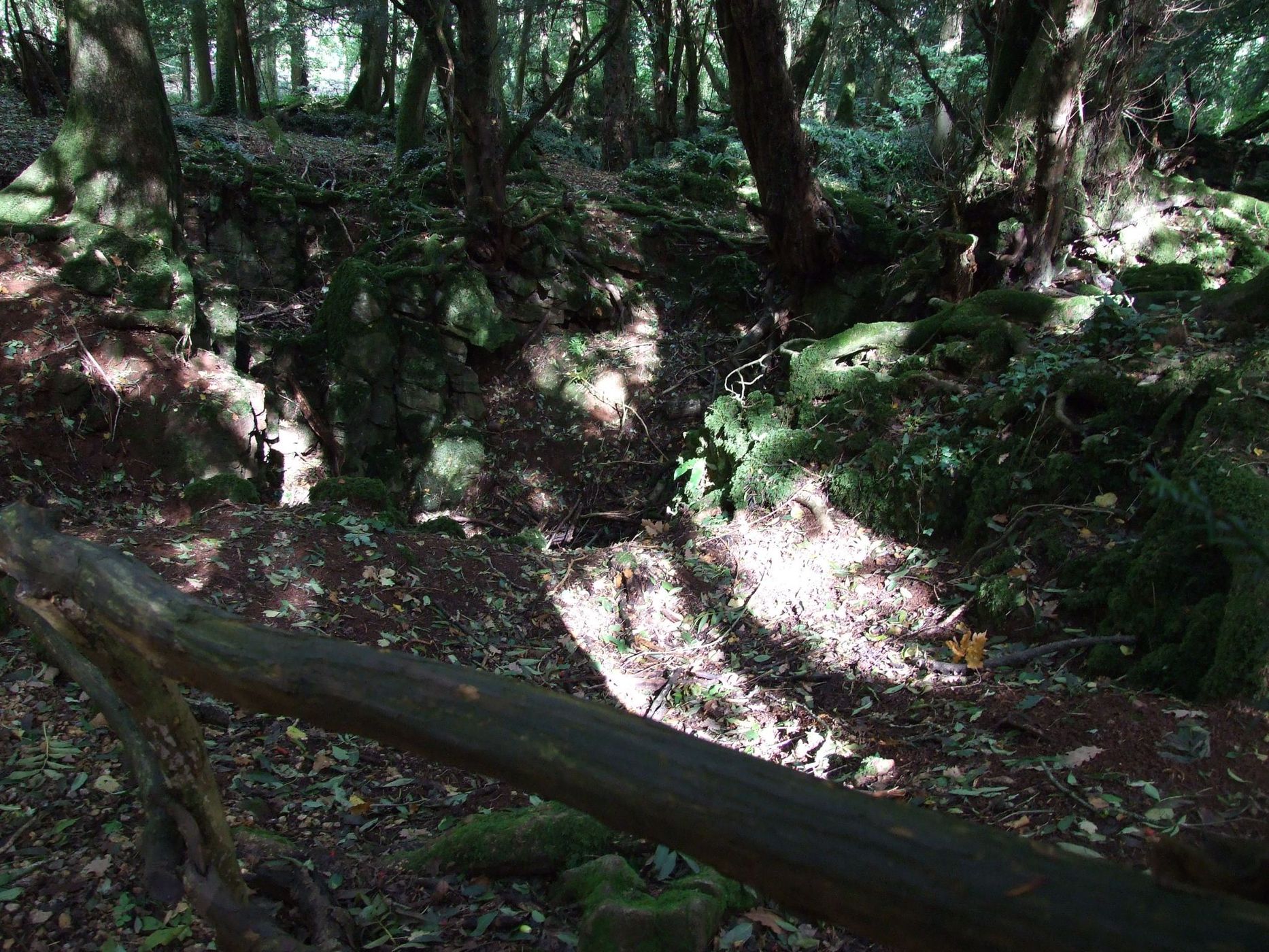 Puzzlewood, United Kingdom
