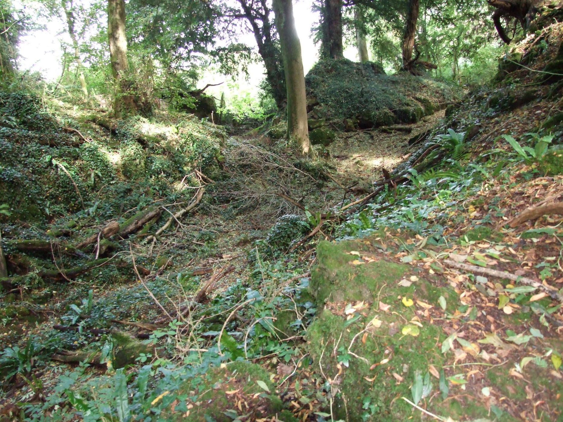 Puzzlewood, United Kingdom
