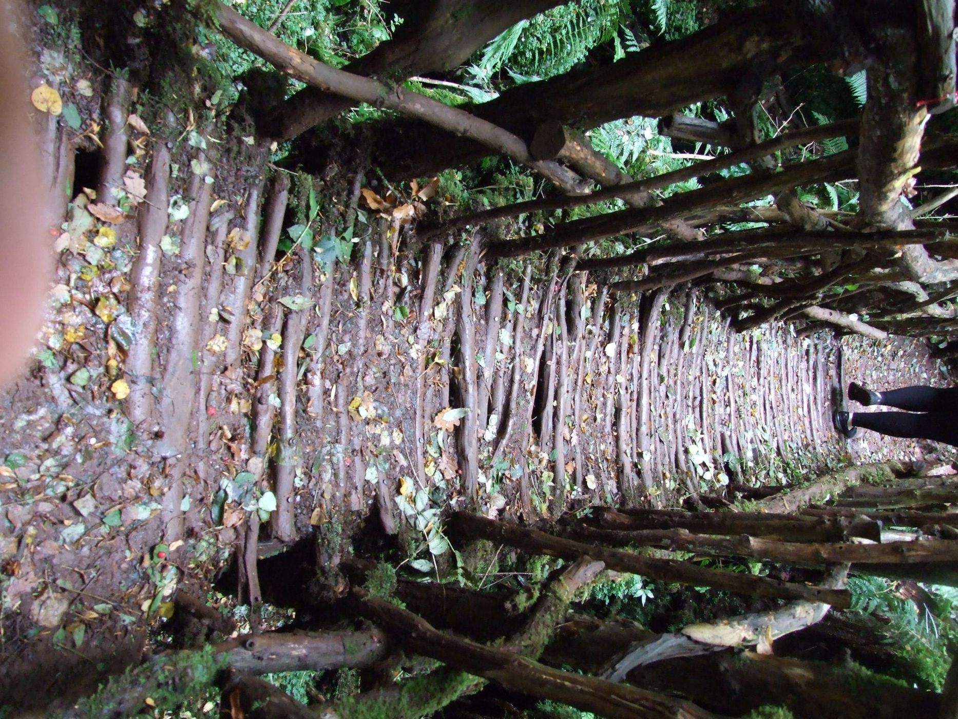 Puzzlewood, United Kingdom