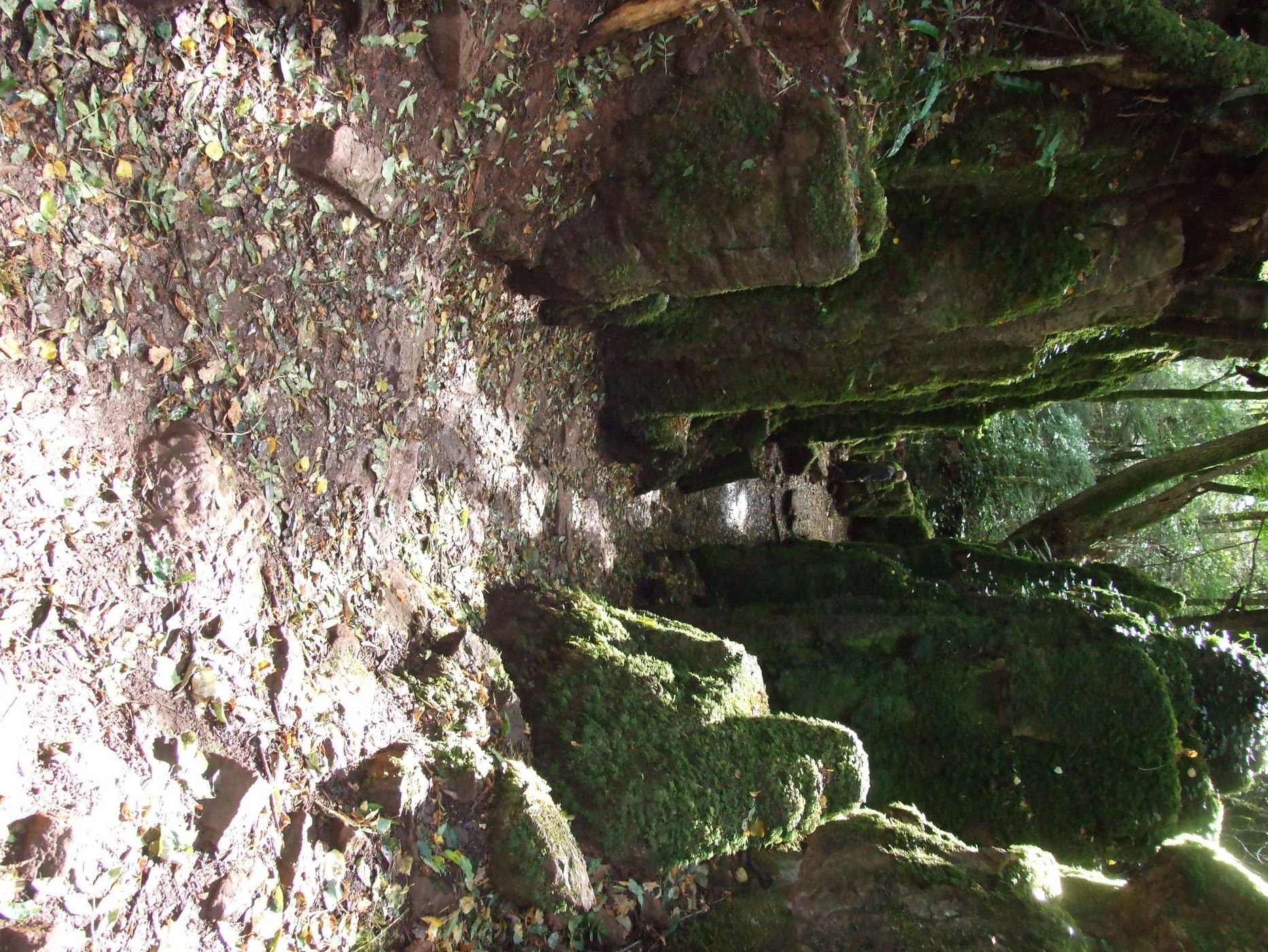 Puzzlewood, United Kingdom