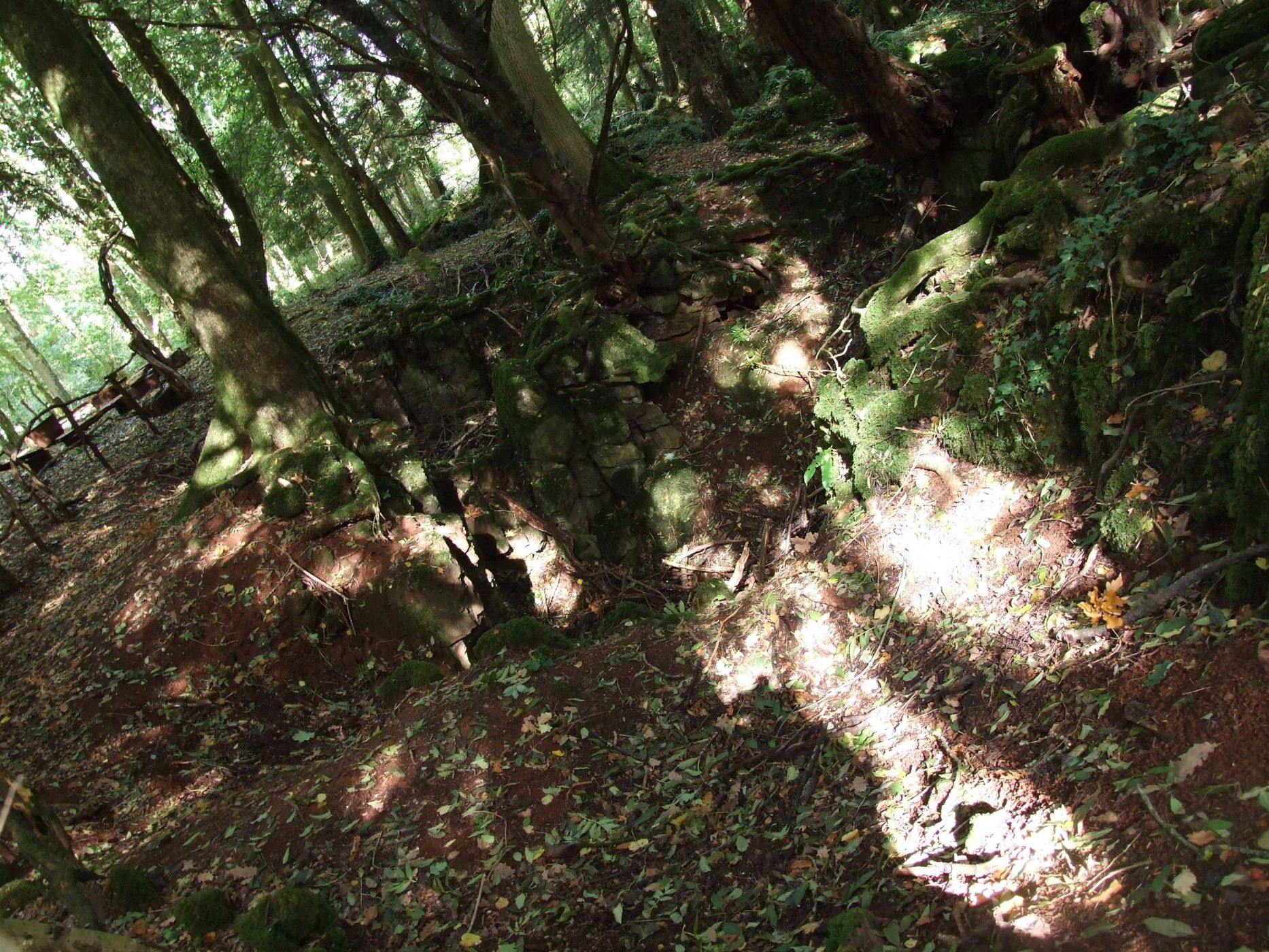 Puzzlewood, United Kingdom