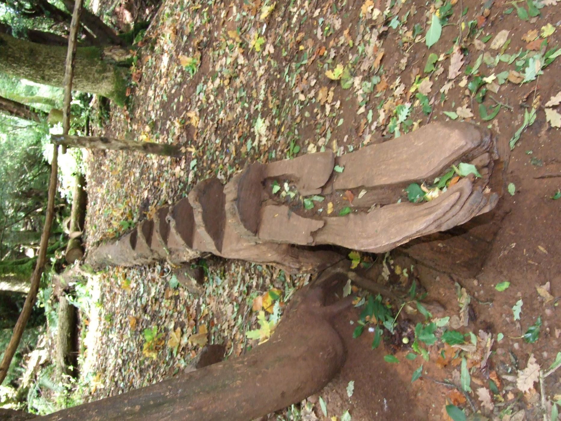 Puzzlewood, United Kingdom
