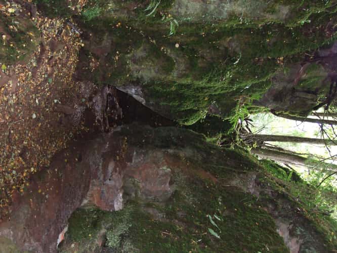 Puzzlewood