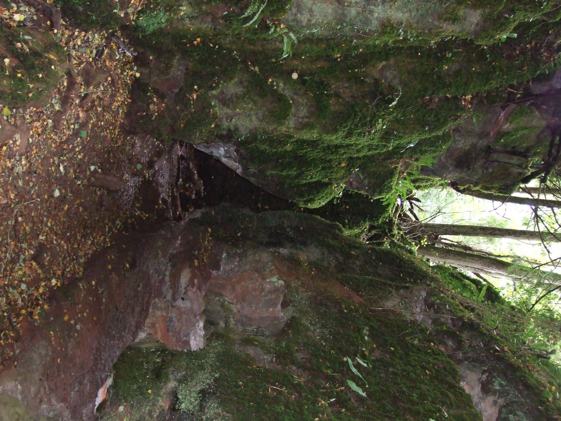 Puzzlewood, United Kingdom