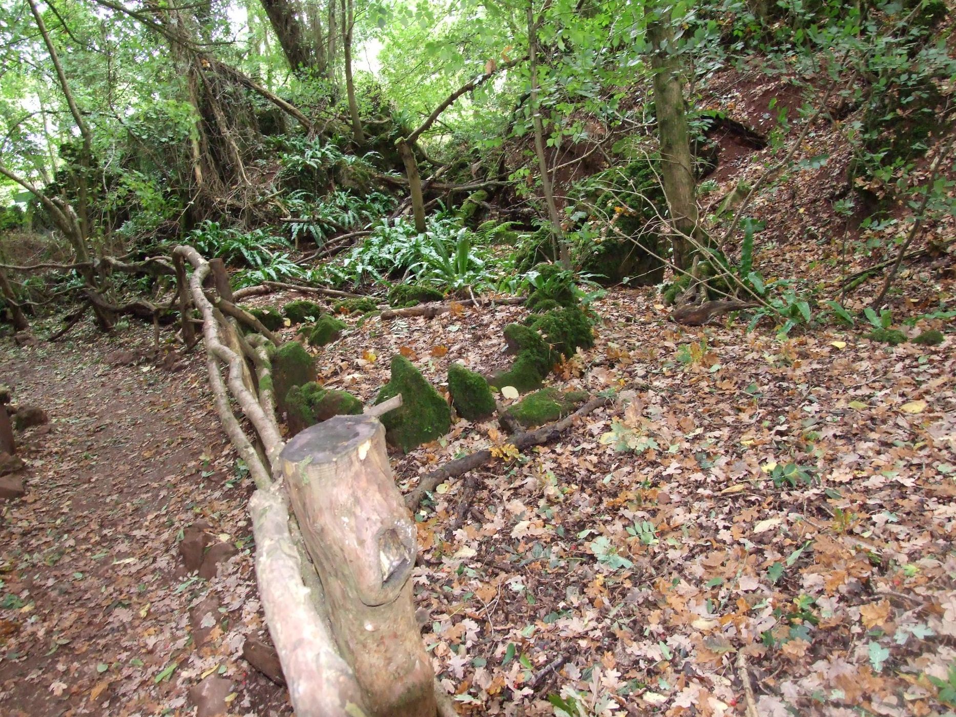 Puzzlewood, United Kingdom
