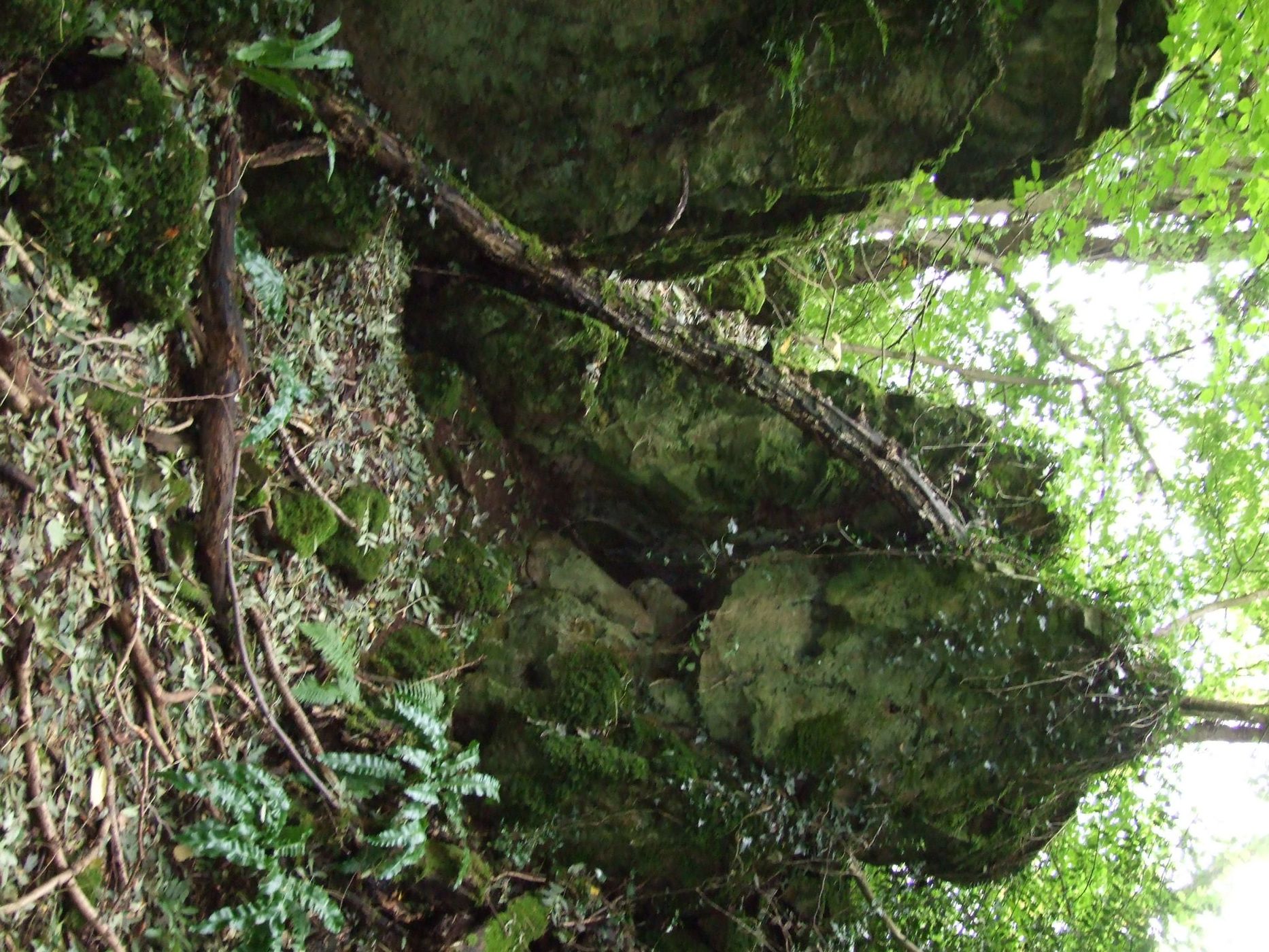 Puzzlewood, United Kingdom